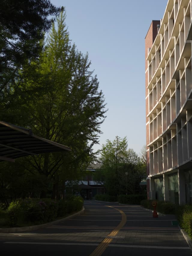 Curving paved walkway beside trees and a modern apartment building in late-day light