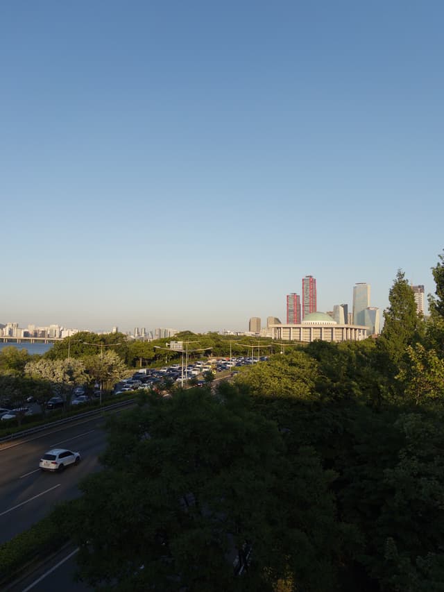 Distant city skyline beyond a tree-filled park with a road in the foreground under a clear blue sky