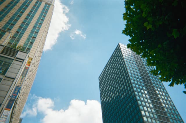 Upward view between tall office buildings against a blue sky with clouds, framed by tree leaves