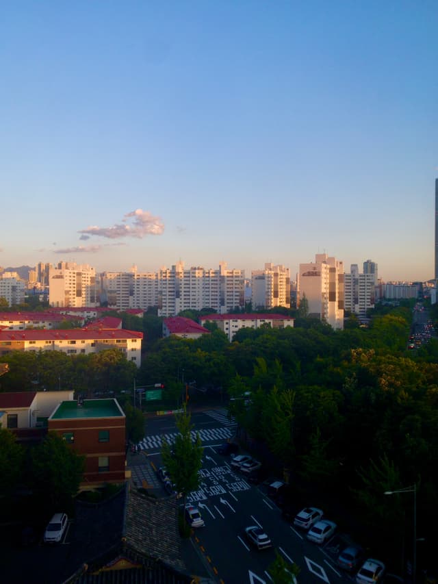 A cityscape at sunset with tall buildings in the background, a few clouds in the sky, and a tree-lined street with cars in the foreground