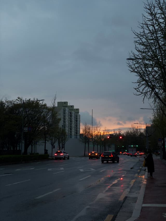 A city street at dusk with wet pavement, cars driving, and a cloudy sky with a hint of sunset. Trees line the road, and buildings are visible in the background