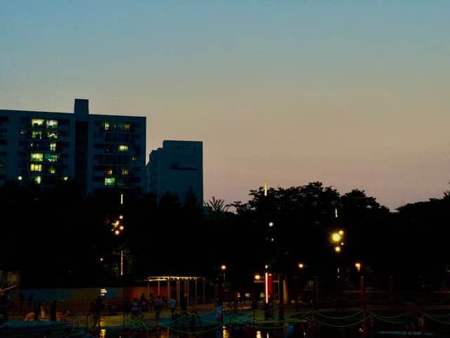 A cityscape at dusk with a building illuminated by lights, silhouetted trees, and streetlights glowing in the foreground