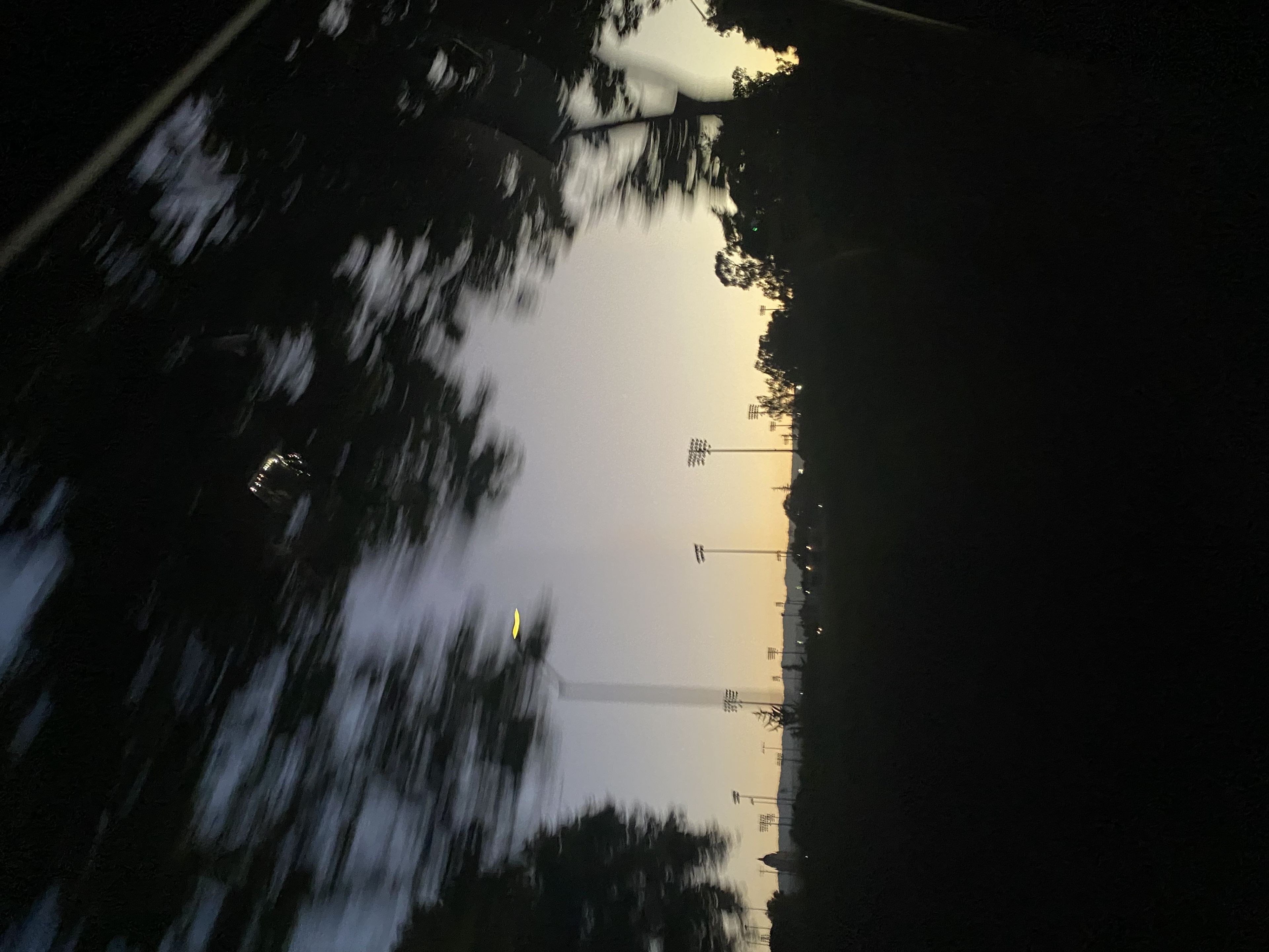 A blurred view of trees and streetlights at dusk, with a clear sky transitioning from light to dark