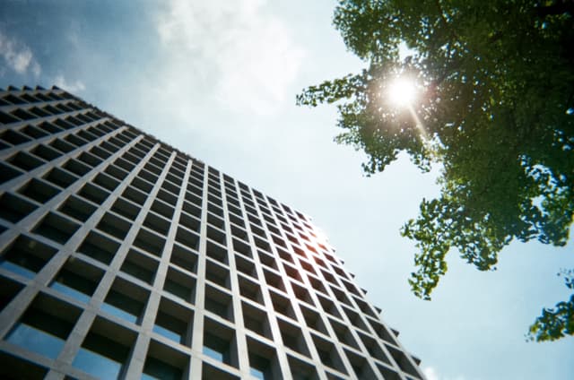 Low-angle view of a high-rise building with sun flare through tree leaves against a blue sky