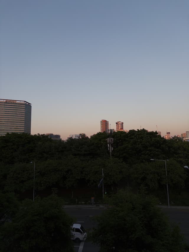 Tree-lined park in the foreground with distant high-rise buildings under a clear dusk sky