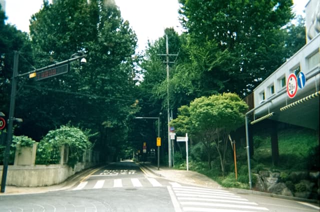 Street intersection with a crosswalk, traffic lights, and trees beside a building