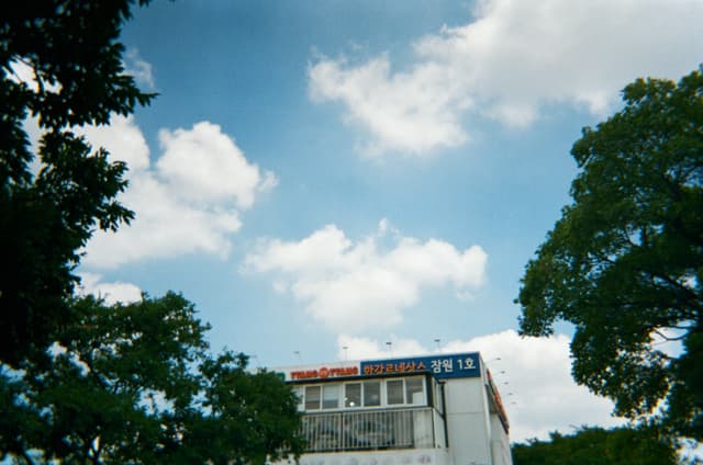 Apartment building framed by trees under a blue sky with clouds