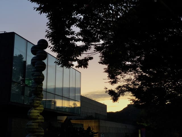 modern building reflecting sunset with silhouetted trees