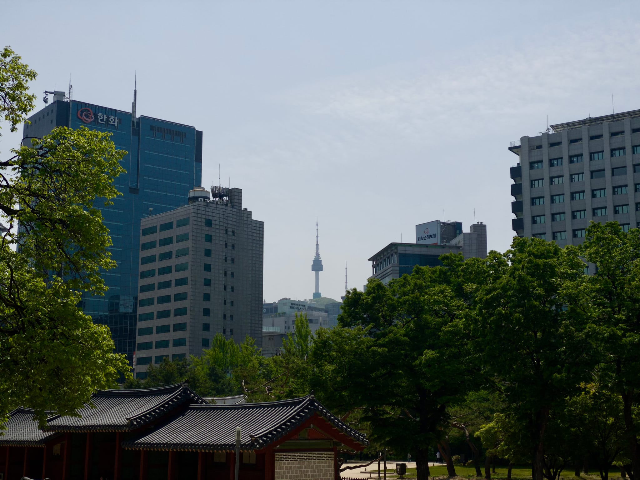 A cityscape featuring modern high-rise buildings with a prominent tower in the background, surrounded by lush green trees and traditional architecture in the foreground