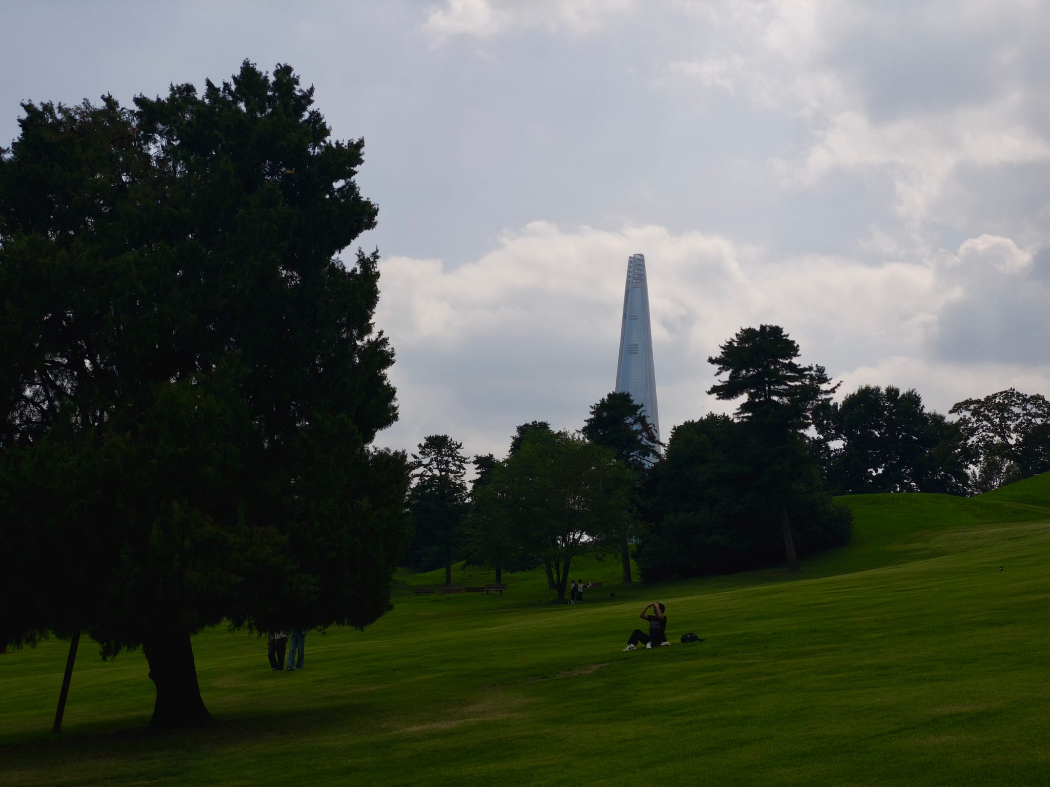 A grassy park with scattered trees and a tall, modern building in the background under a cloudy sky