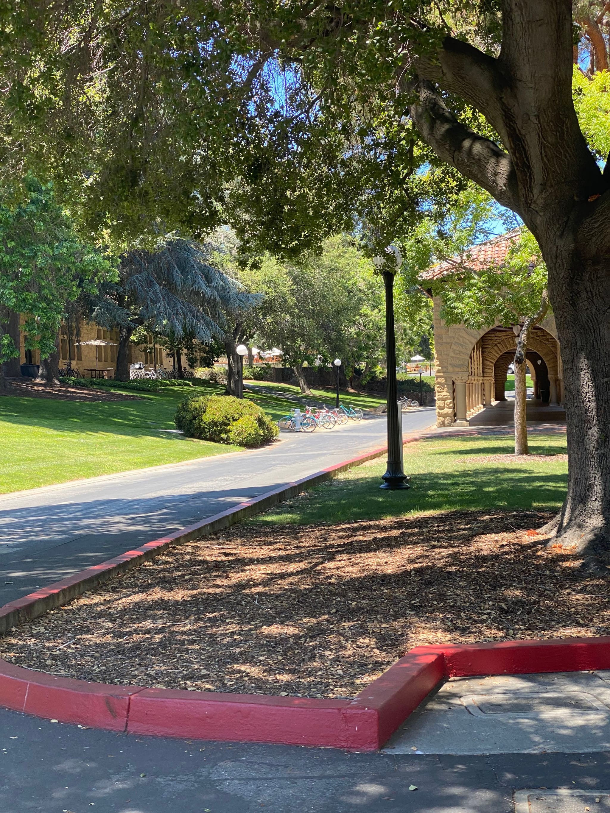 A peaceful, tree-lined pathway with a lamppost, bordered by grass and a red curb, leading to an arched building entrance