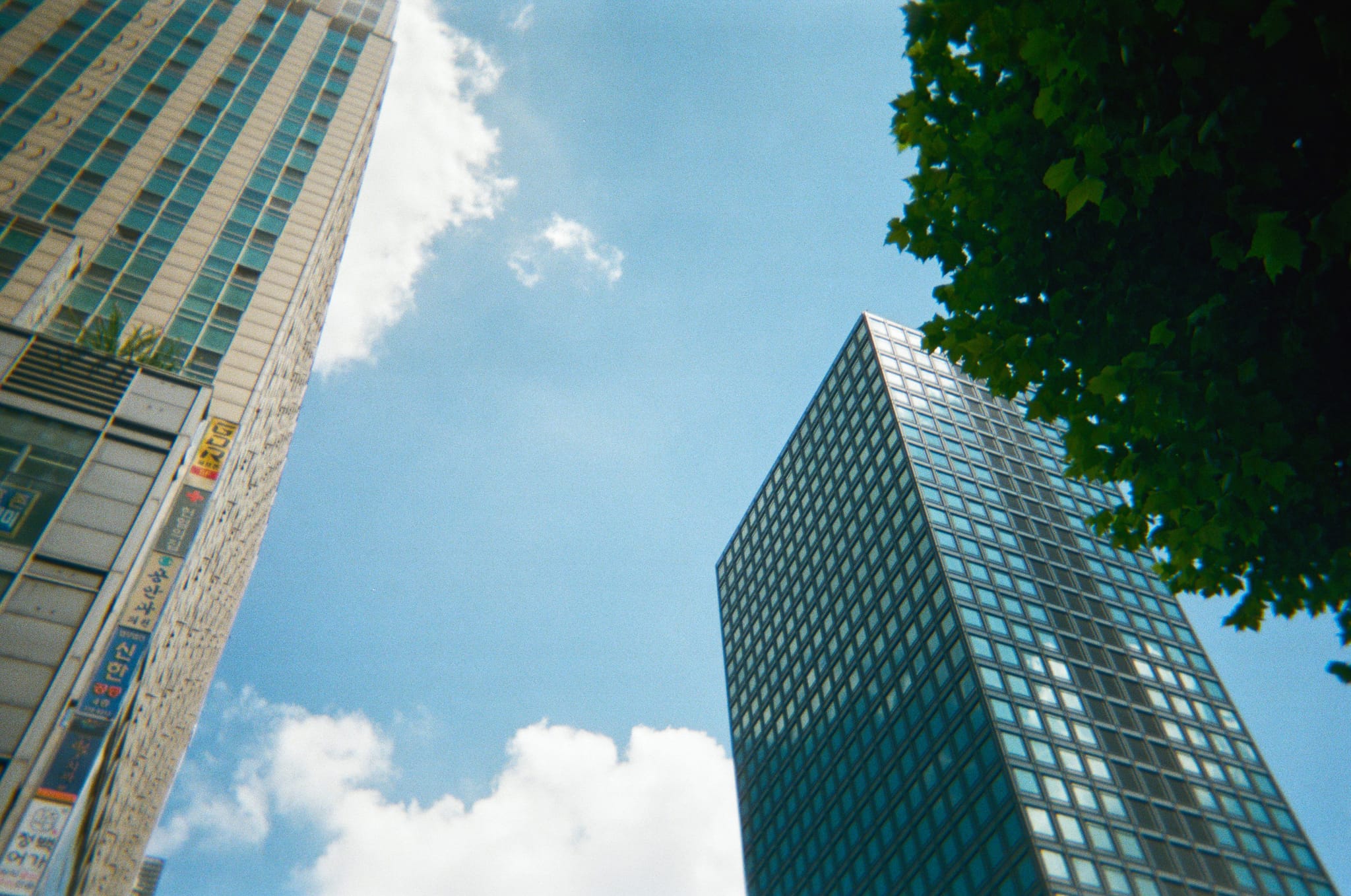 Upward view between tall office buildings against a blue sky with clouds, framed by tree leaves