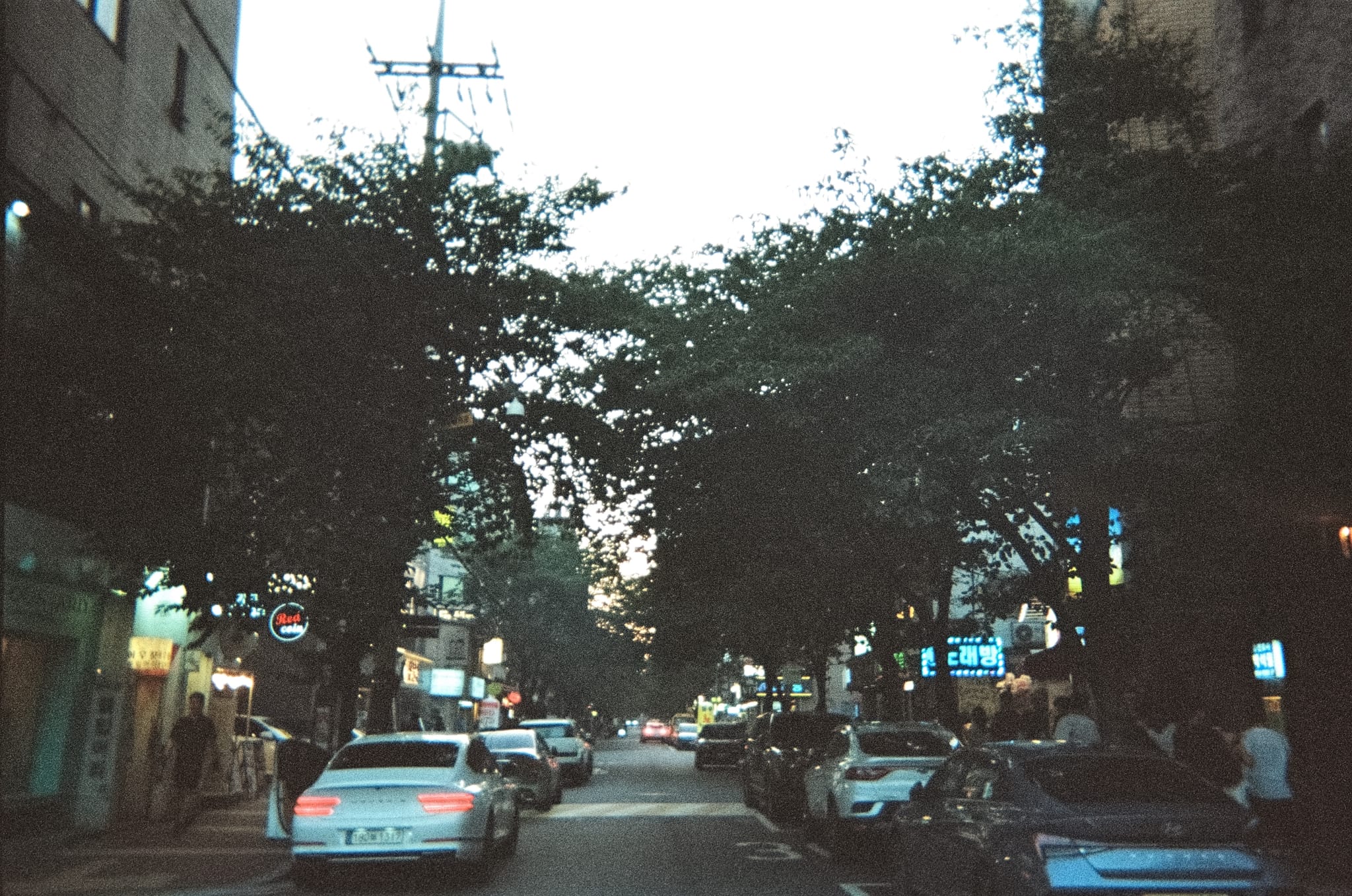 Urban roadway at dusk lined with parked cars and trees, viewed from the center lane