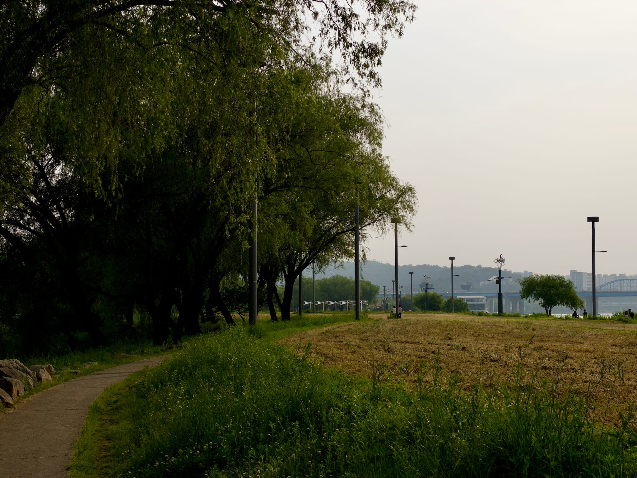 A serene pathway lined with trees on the left, adjacent to an open field, with street lamps and a hazy sky in the background