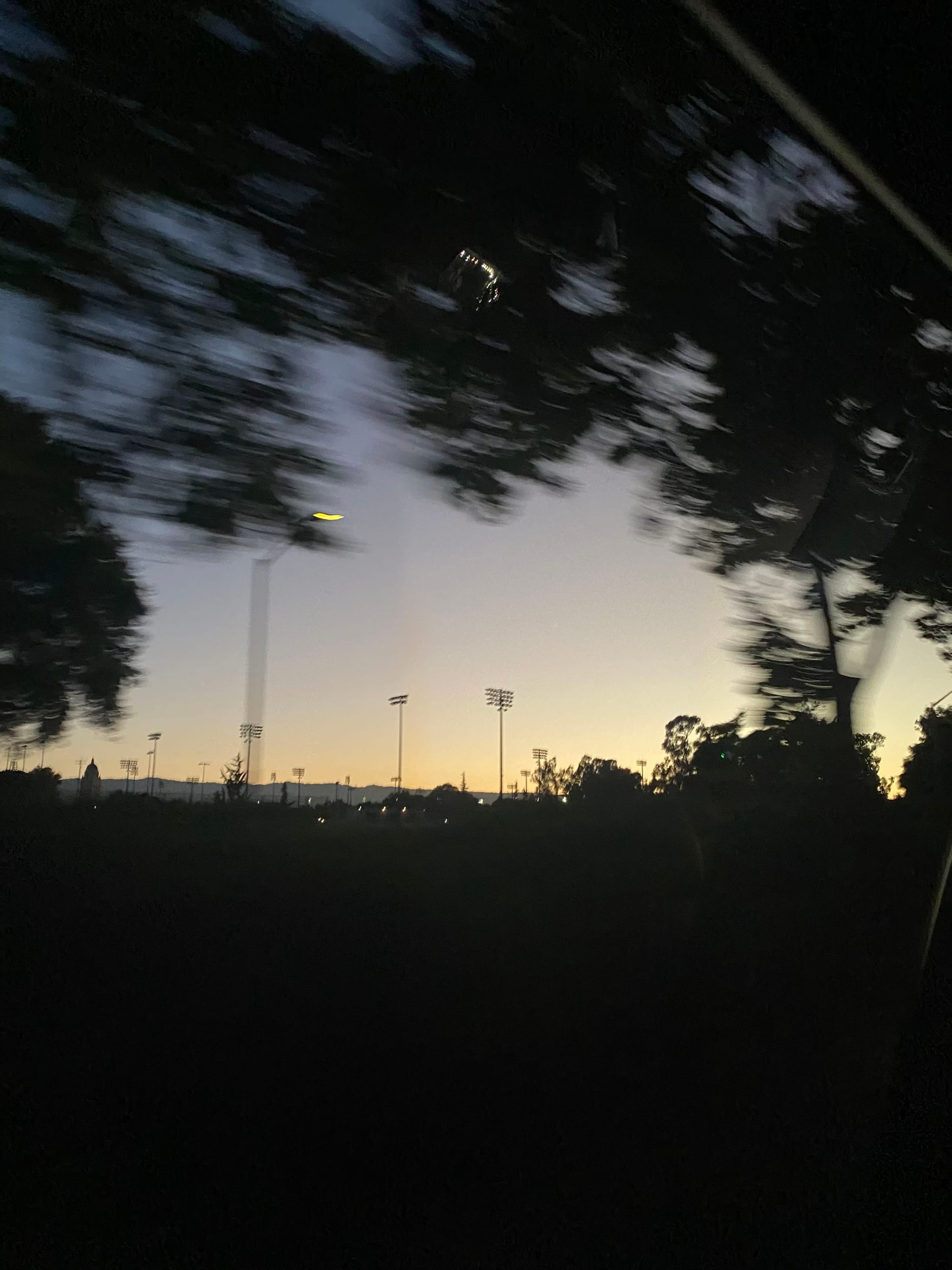 A blurred view of trees and streetlights at dusk, with a clear sky transitioning from light to dark