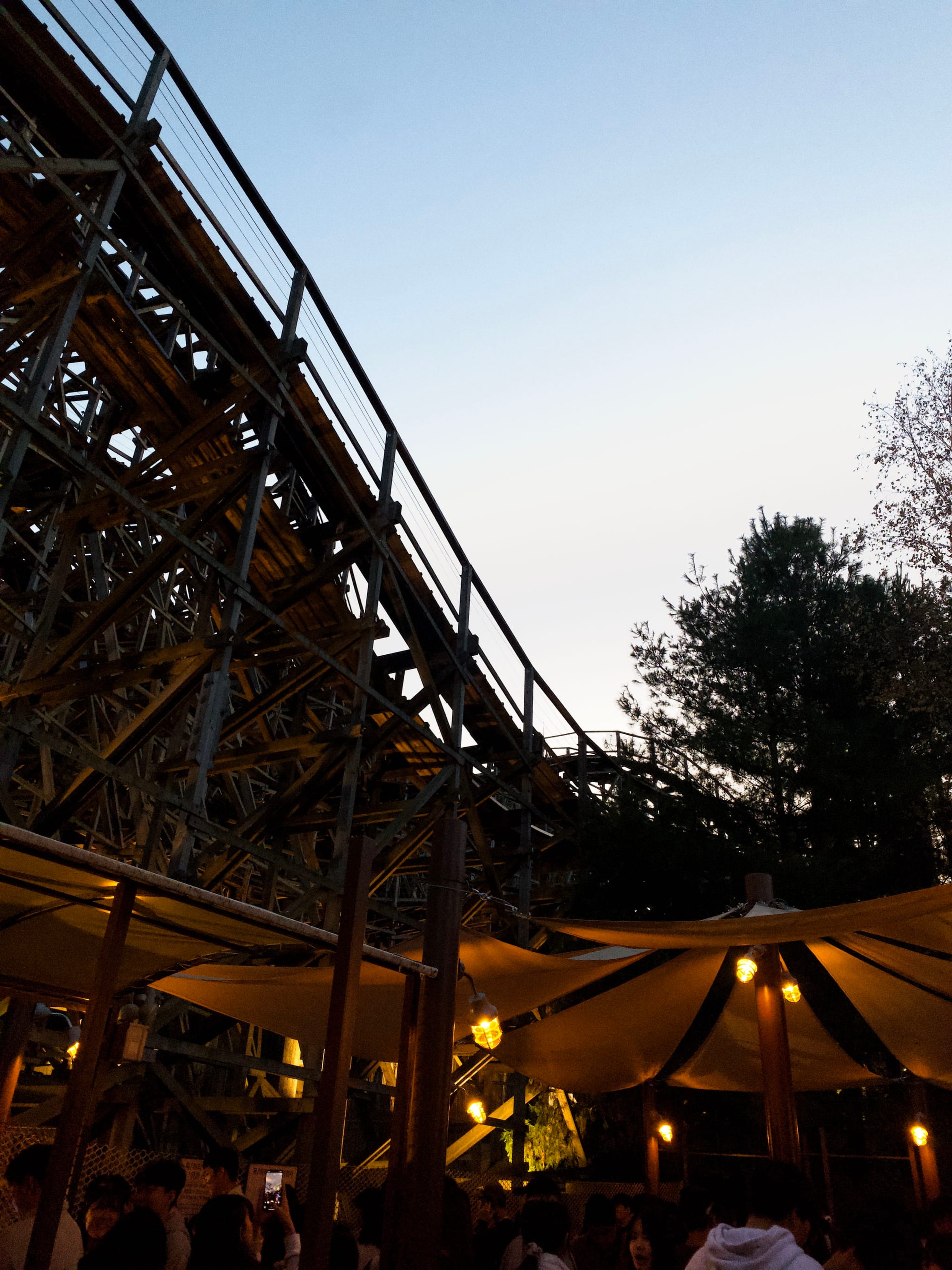 A wooden roller coaster structure with a clear evening sky in the background, surrounded by trees and illuminated canopies