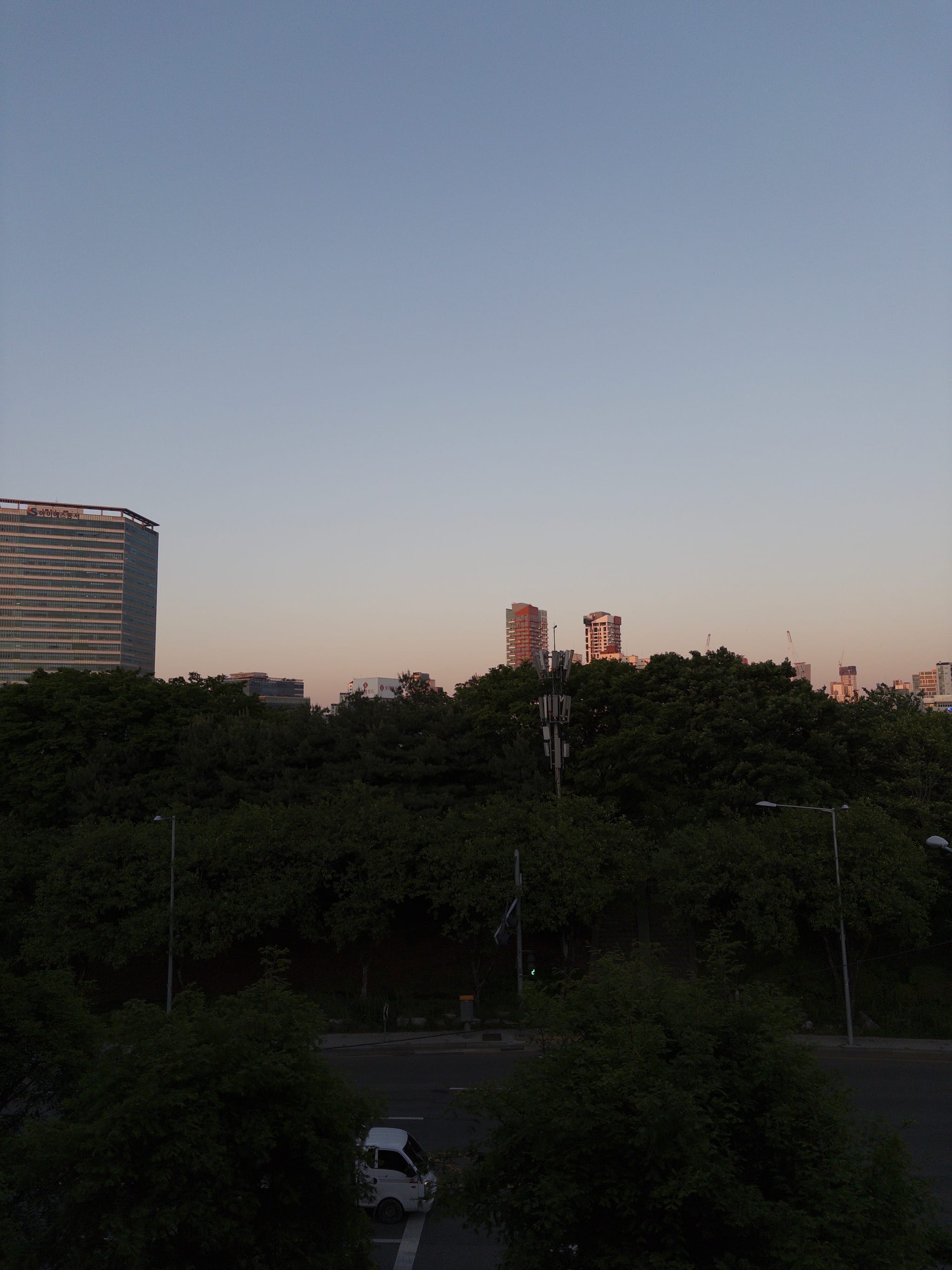 Tree-lined park in the foreground with distant high-rise buildings under a clear dusk sky