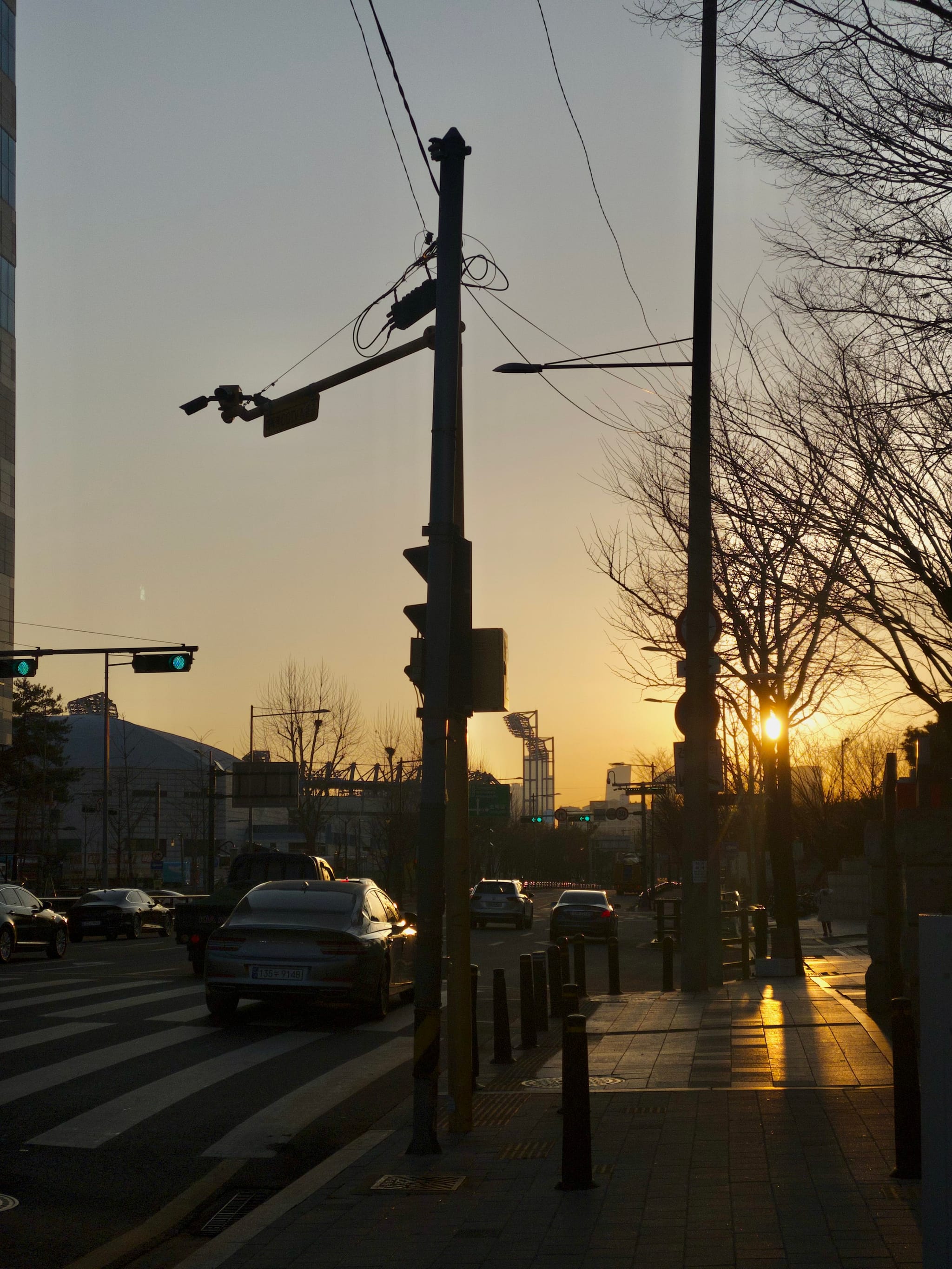 Urban street at sunset with cars, utility pole and power lines, bare trees, and pedestrians casting long shadows on the sidewalk
