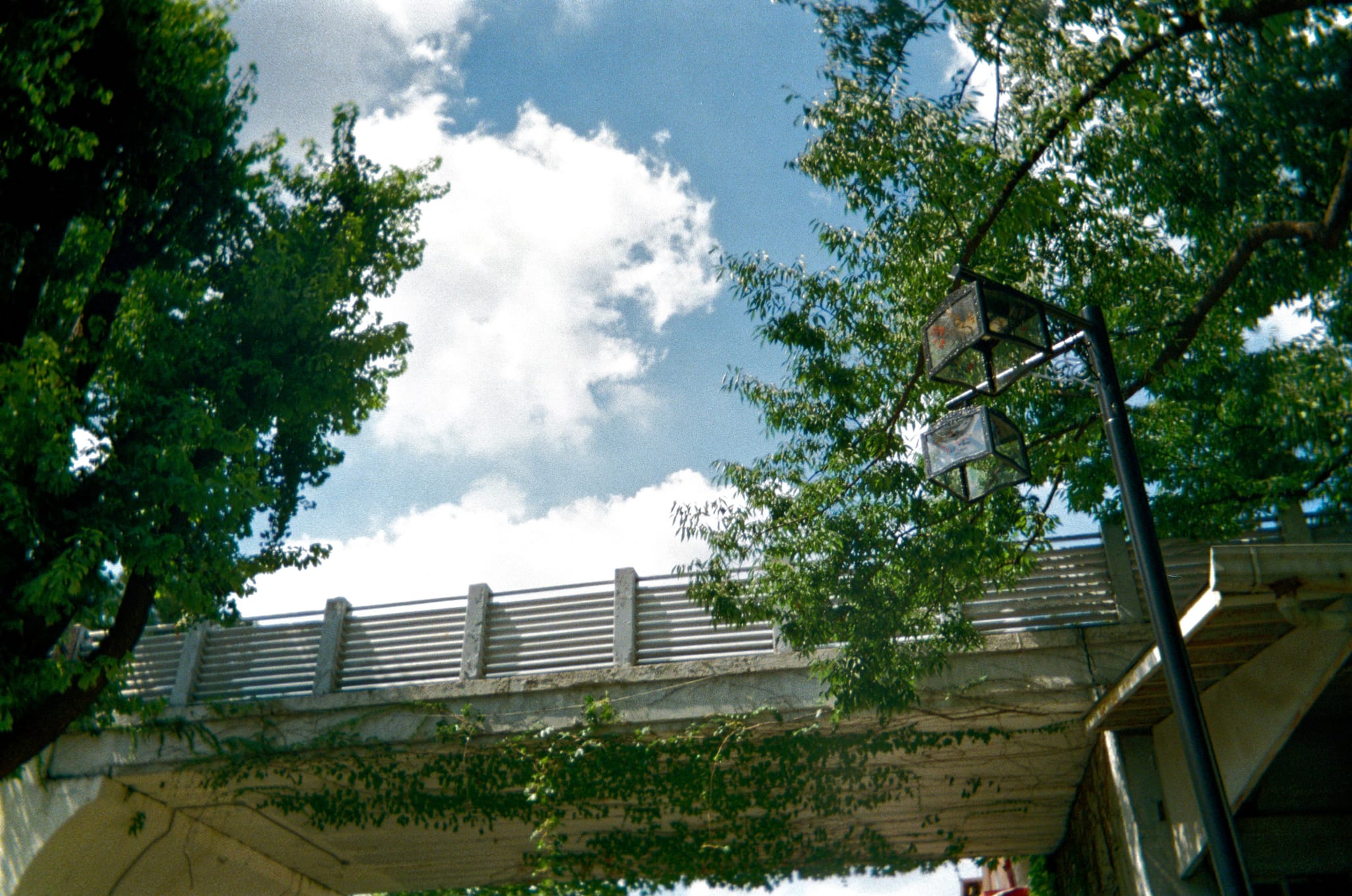Concrete overpass framed by leafy tree canopy and a utility pole under a partly cloudy blue sky