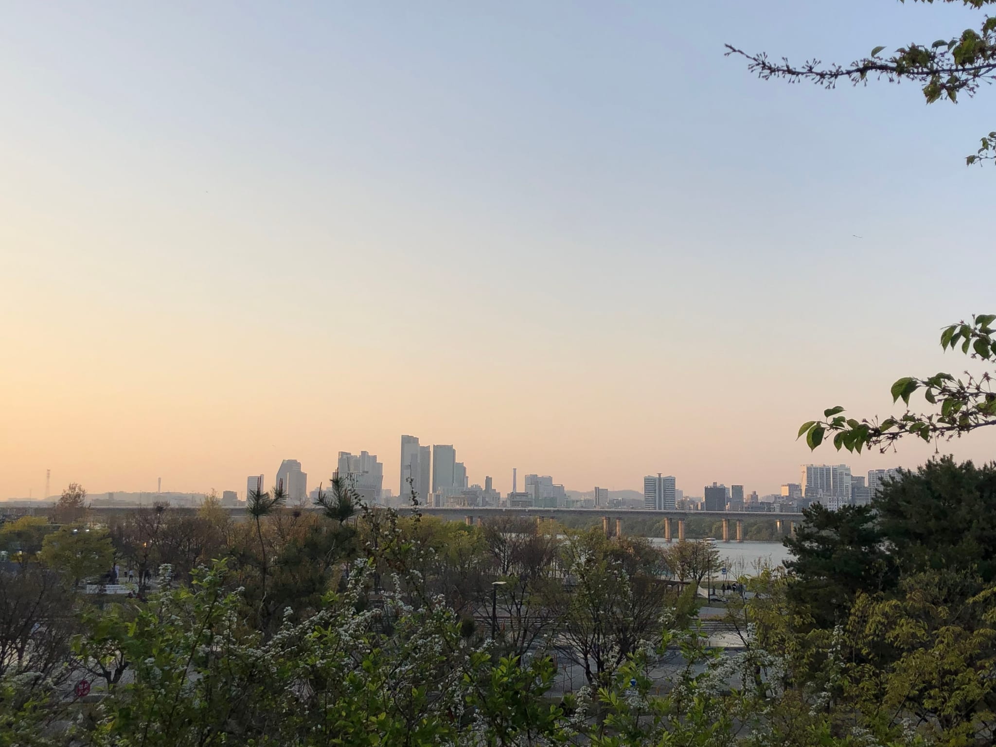 A city skyline at sunset with a river in the foreground, surrounded by trees and foliage