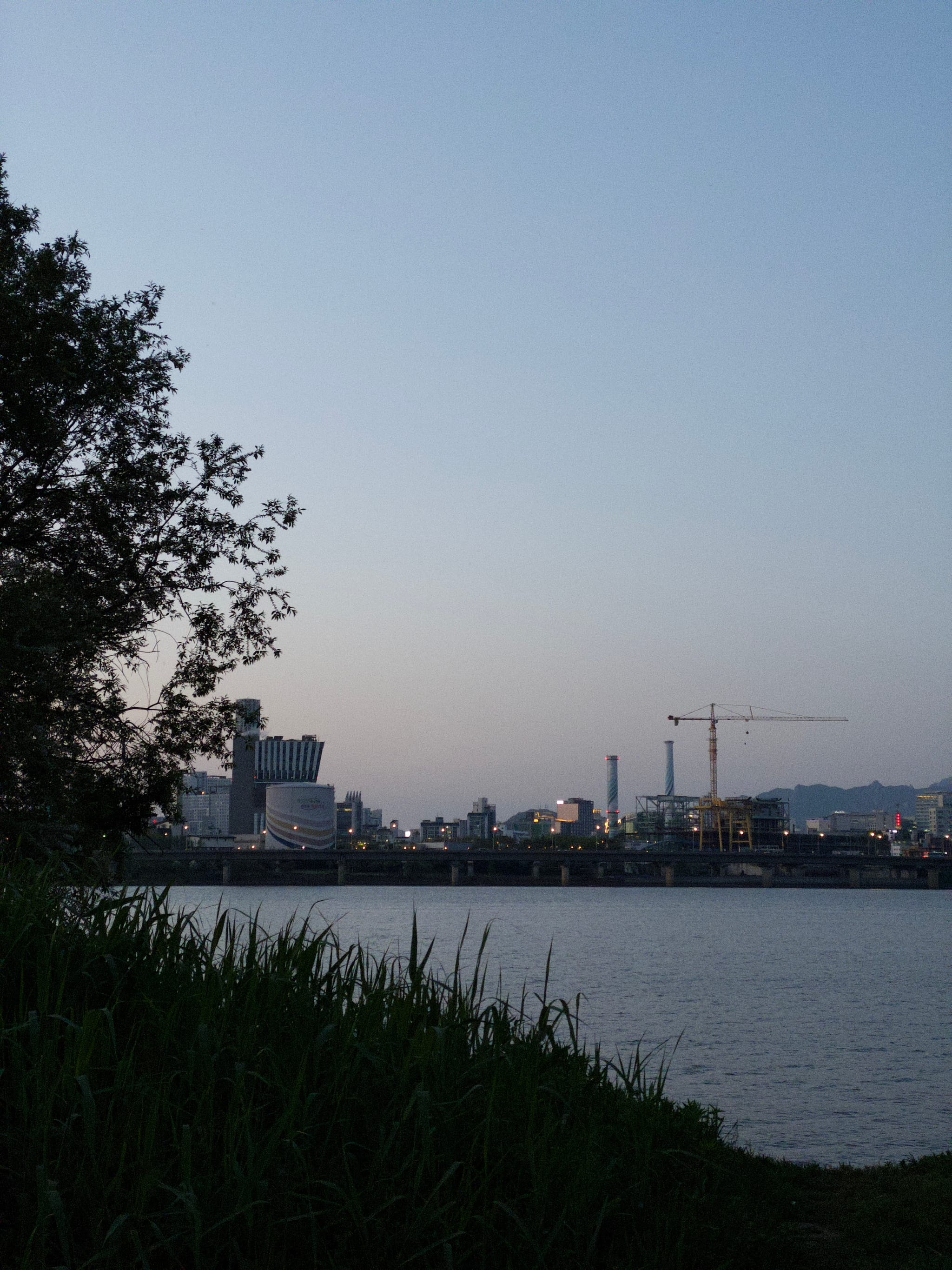 A riverside scene at dusk with a city skyline in the background, featuring cranes and buildings, and trees and grass in the foreground