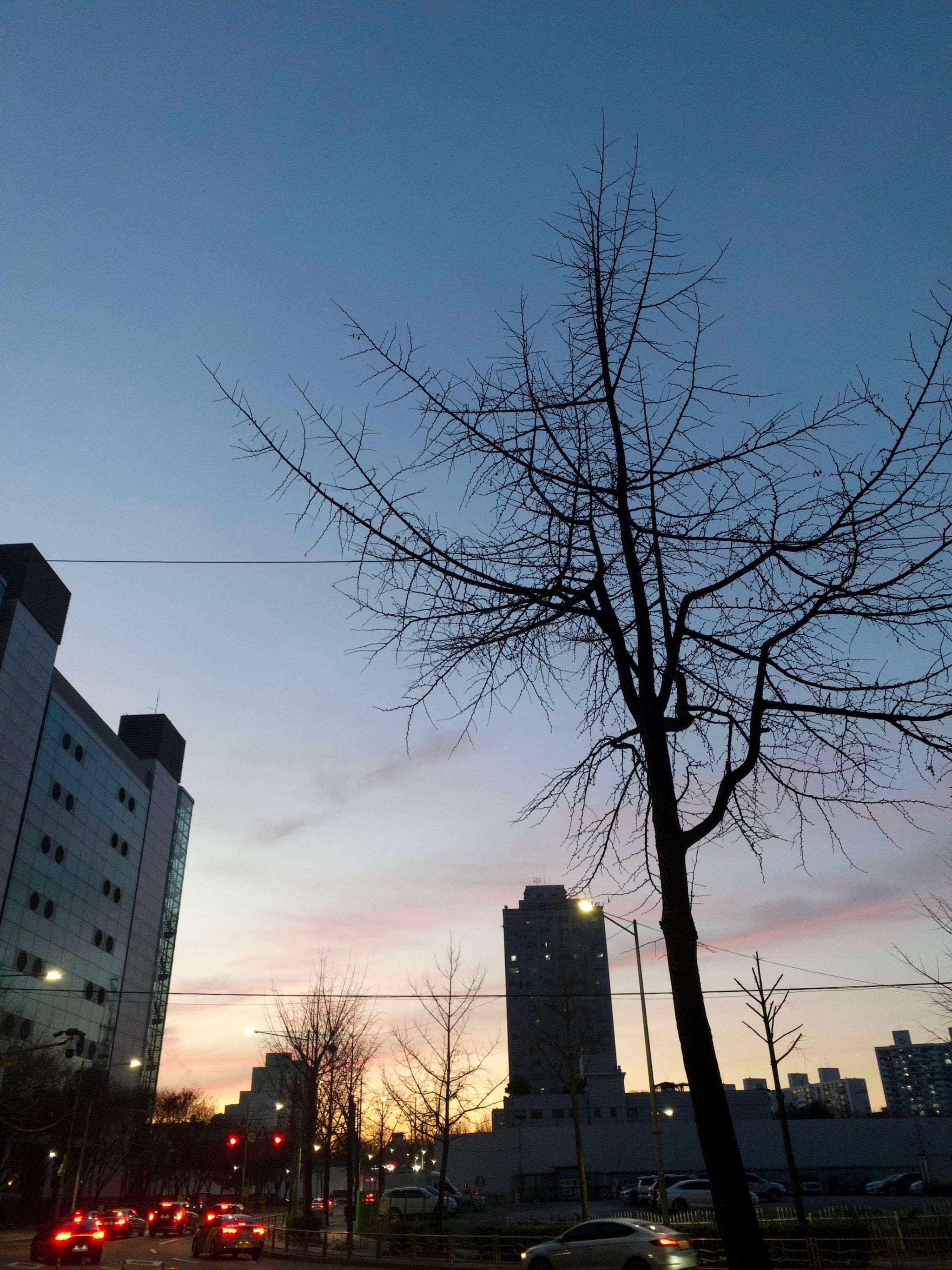 A cityscape at dusk with silhouetted trees, buildings, and a softly colored sky