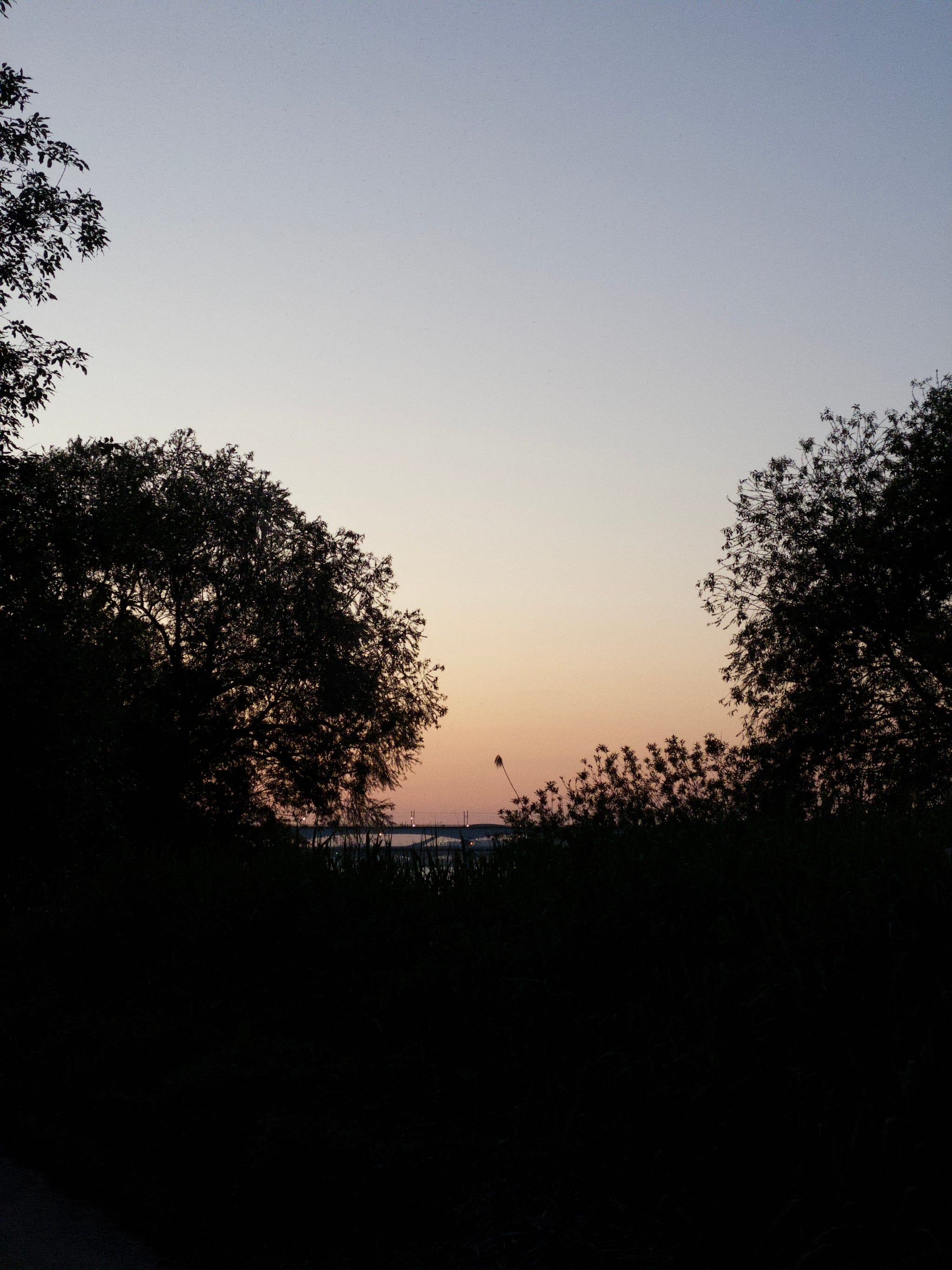 A serene sunset with a gradient sky transitioning from orange to blue, framed by silhouetted trees on either side