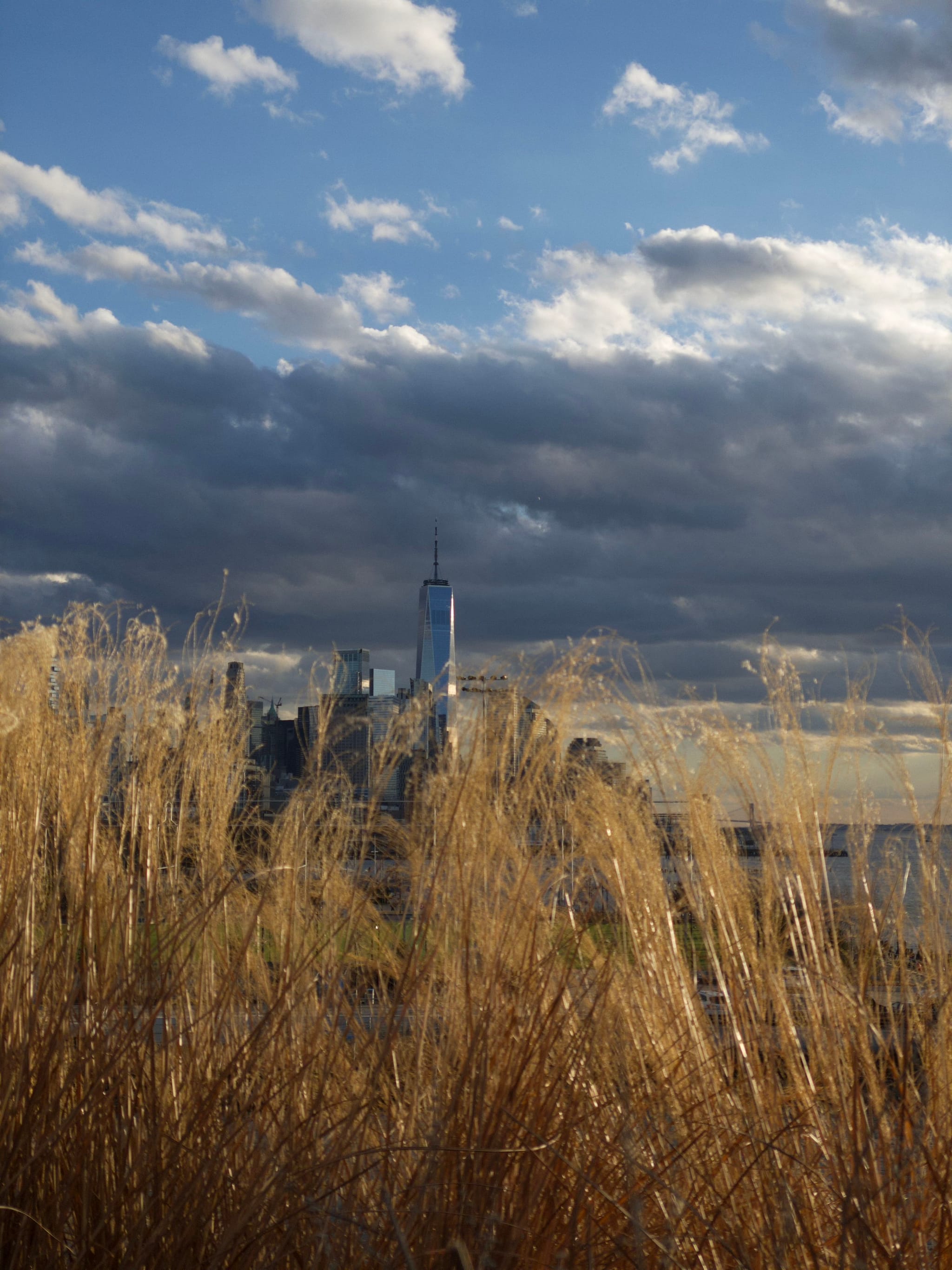 Tall grass in the foreground with a city skyline and a prominent skyscraper in the background under a partly cloudy sky