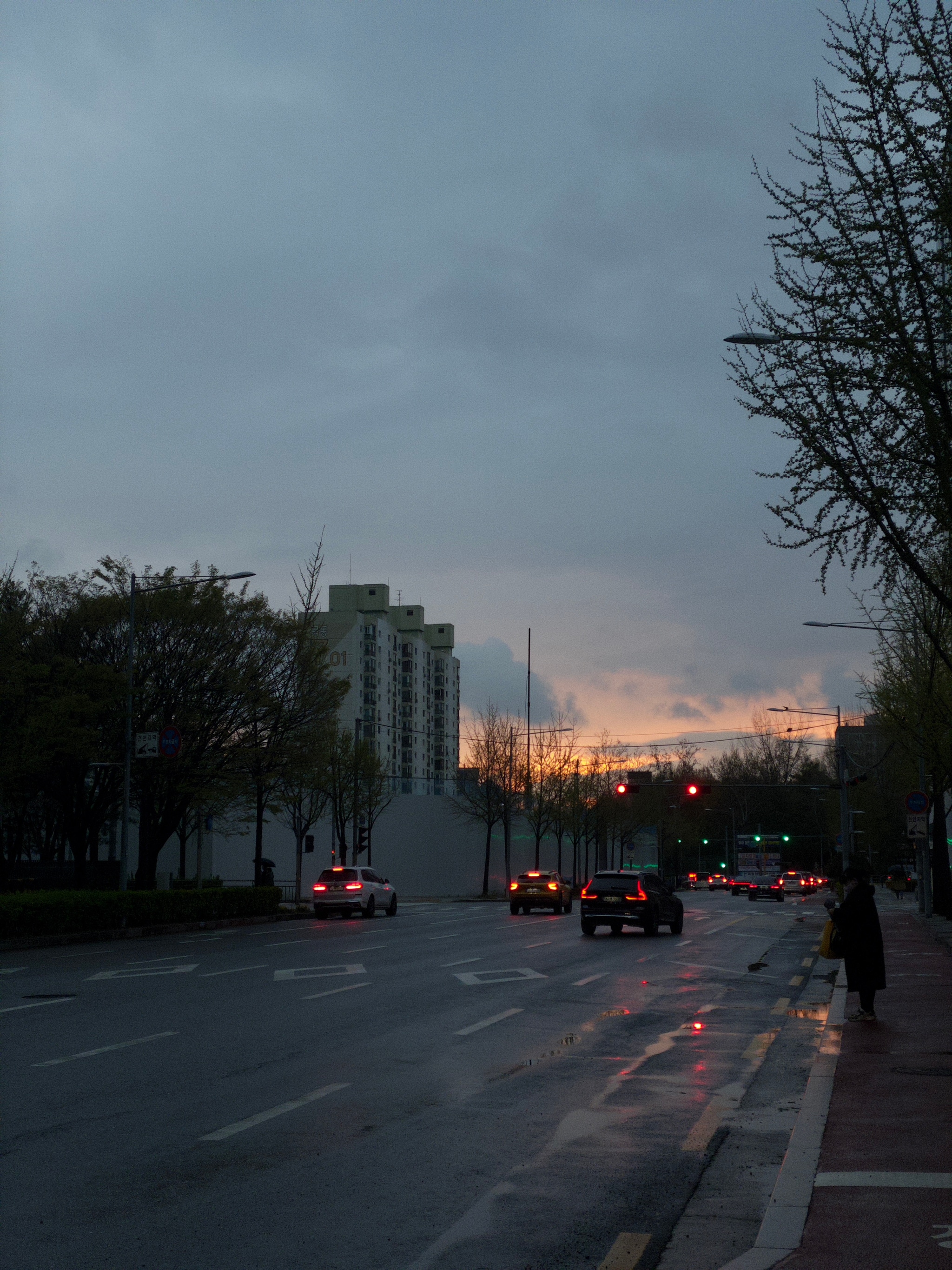 A city street at dusk with wet pavement, cars driving, and a cloudy sky with a hint of sunset. Trees line the road, and buildings are visible in the background